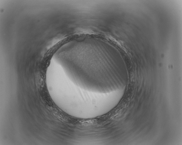 X0000072981303200608111731