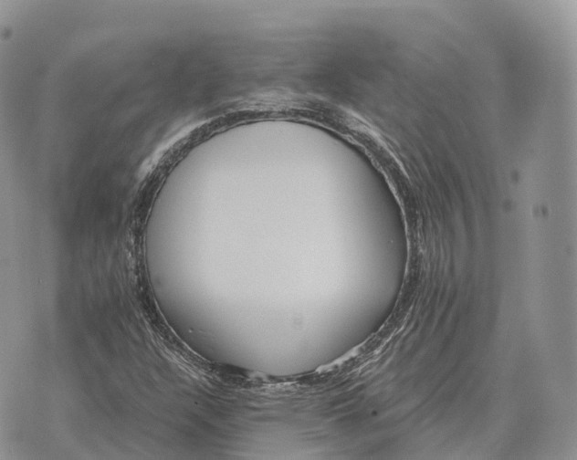 X0000072981304200608111731