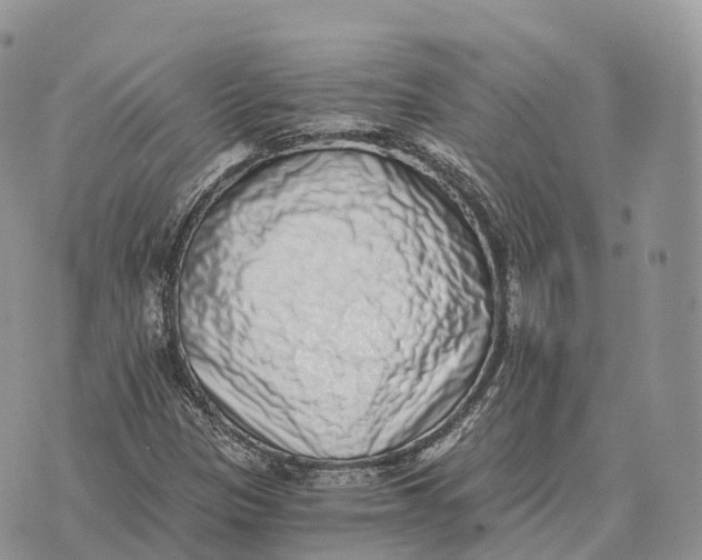 X0000072981305200608111731