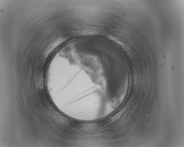 X0000072981306200608111731