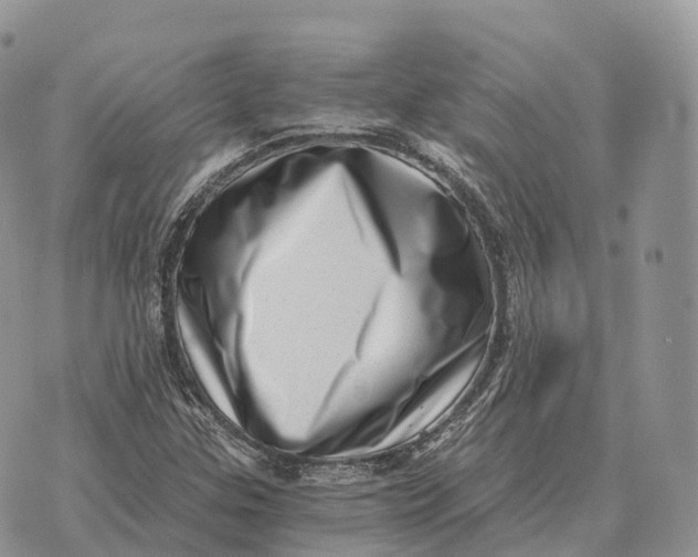 X0000072981307200608111731