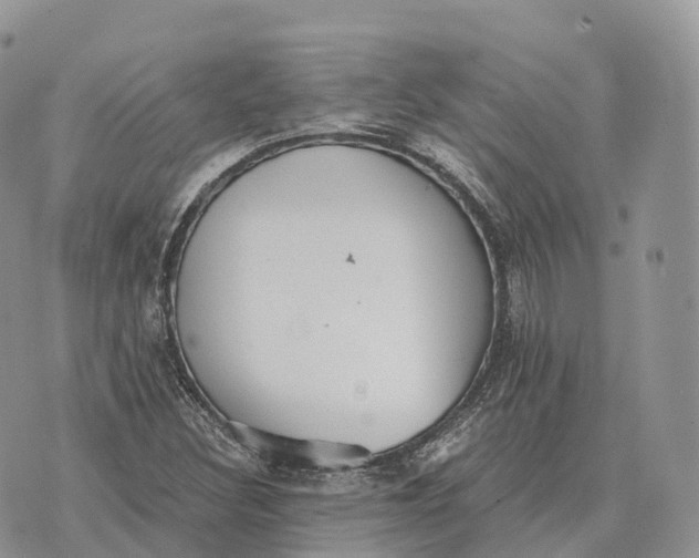 X0000072981308200608111731