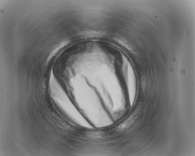 X0000072981309200608111731