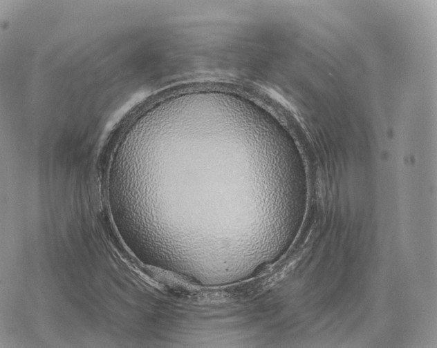 X0000072981310200608111731