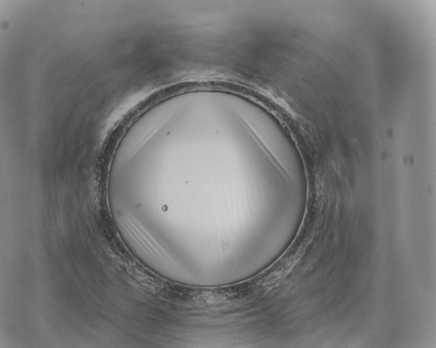 X0000072981311200608111731