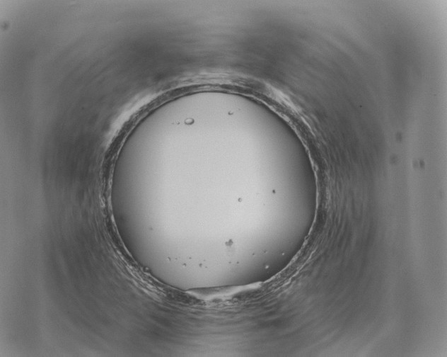 X0000072981312200608111731