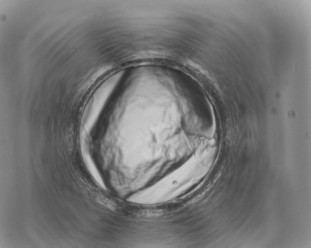 X0000072981313200608111731