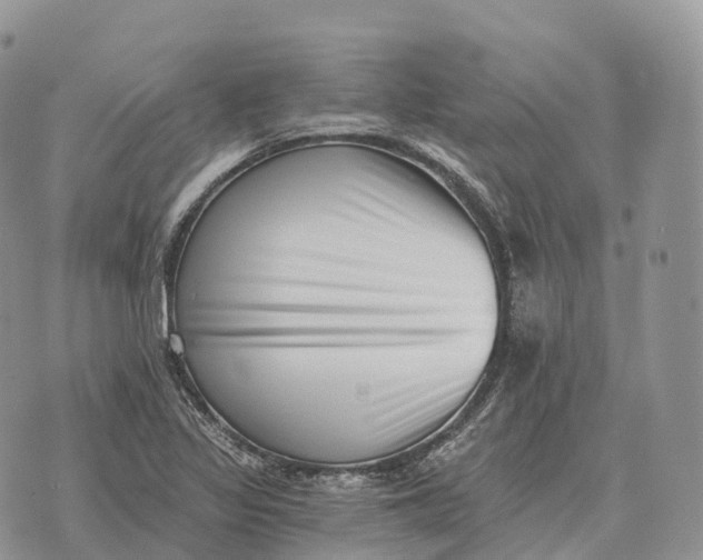 X0000072981317200608111731