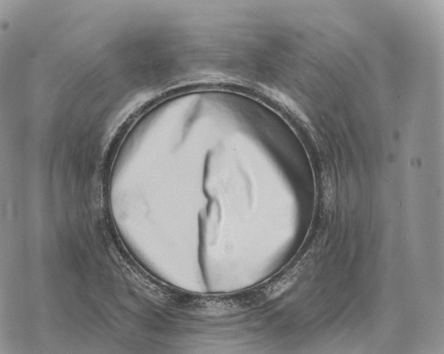 X0000072981318200608111731