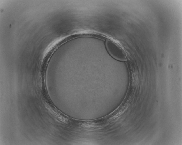 X0000072981319200608111731