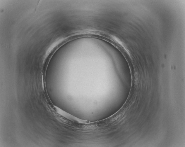 X0000072981320200608111731