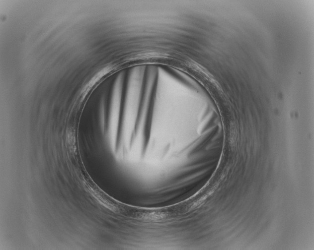 X0000072981321200608111731