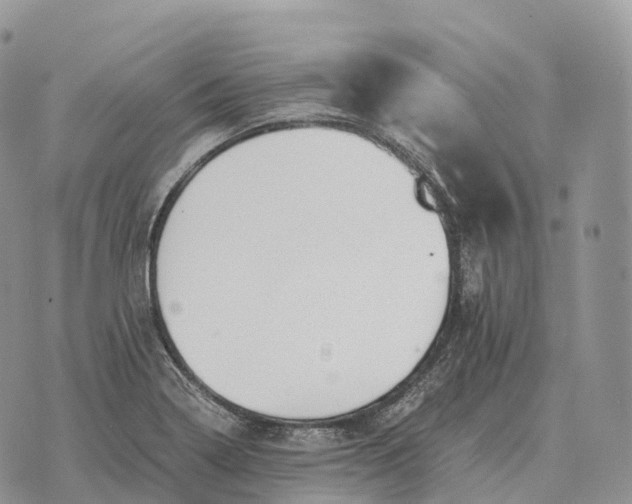 X0000072981322200608111731