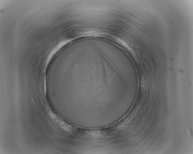 X0000072981323200608111731