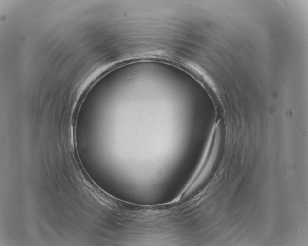 X0000072981324200608111731