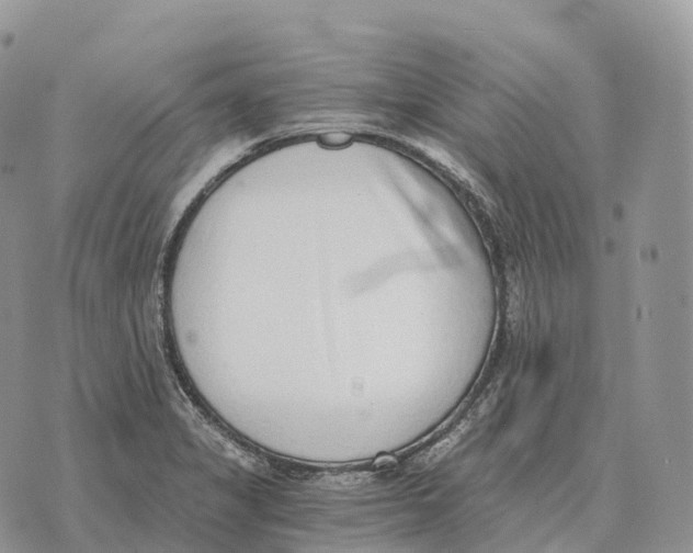 X0000072981325200608111731