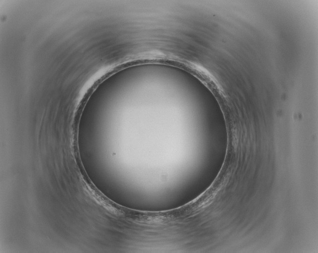 X0000072981326200608111731