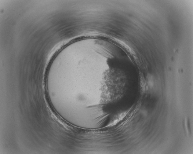 X0000072981327200608111731