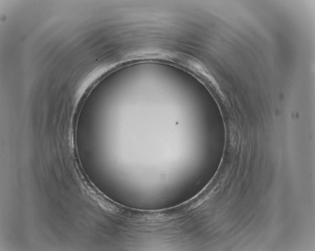 X0000072981328200608111731