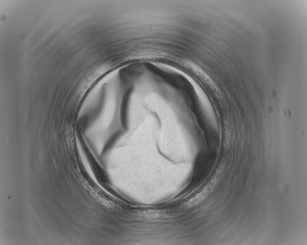 X0000072981329200608111731