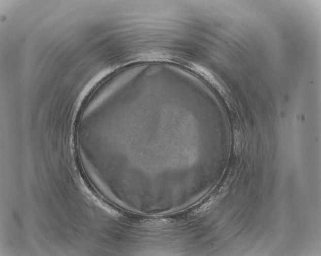 X0000072981331200608111731