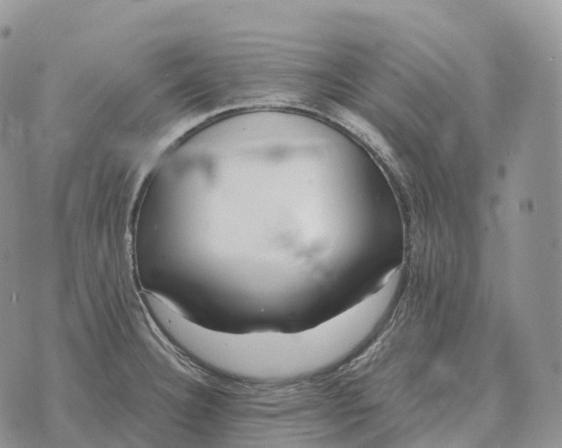 X0000072981332200608111731