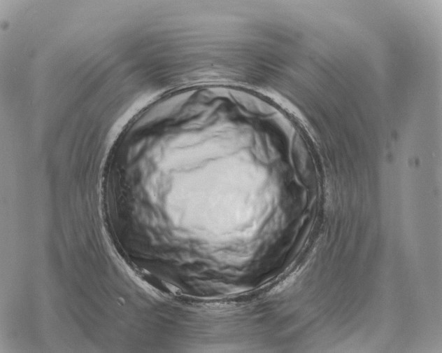 X0000072981333200608111732