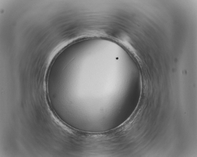 X0000072981335200608111732