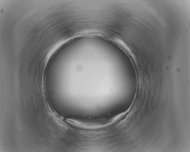 X0000072981336200608111732