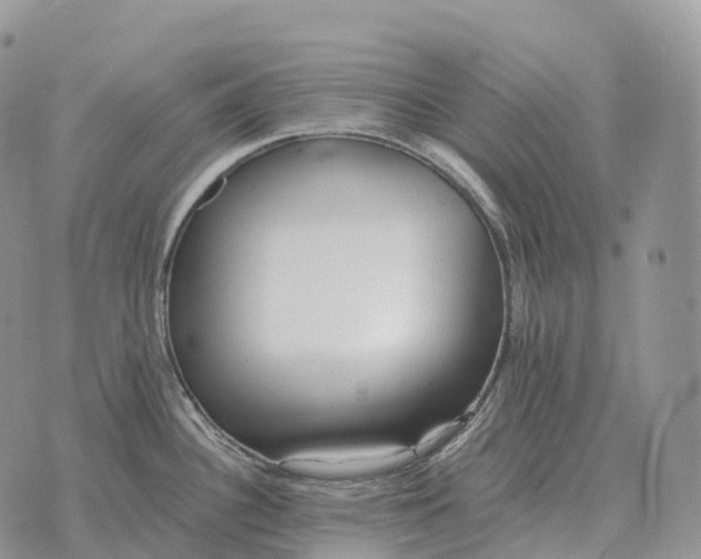 X0000072981340200608111732