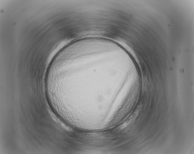 X0000072981341200608111732