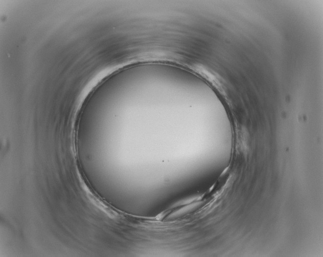 X0000072981342200608111732