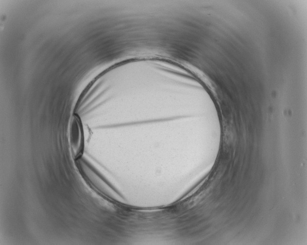 X0000072981343200608111732