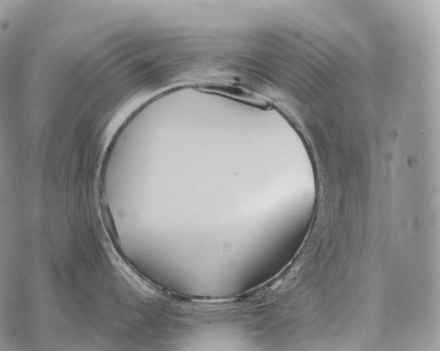 X0000072981344200608111732