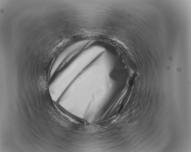 X0000072981348200608111731