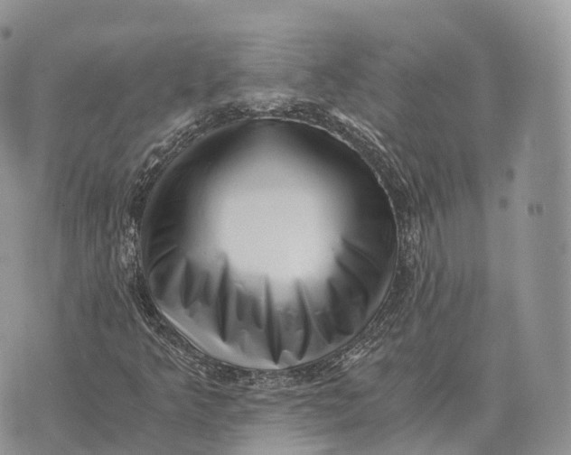 X0000072981349200608111731