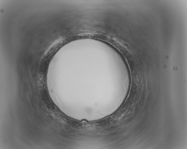 X0000072981351200608111731