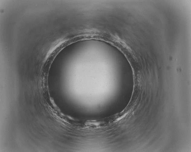 X0000072981352200608111731