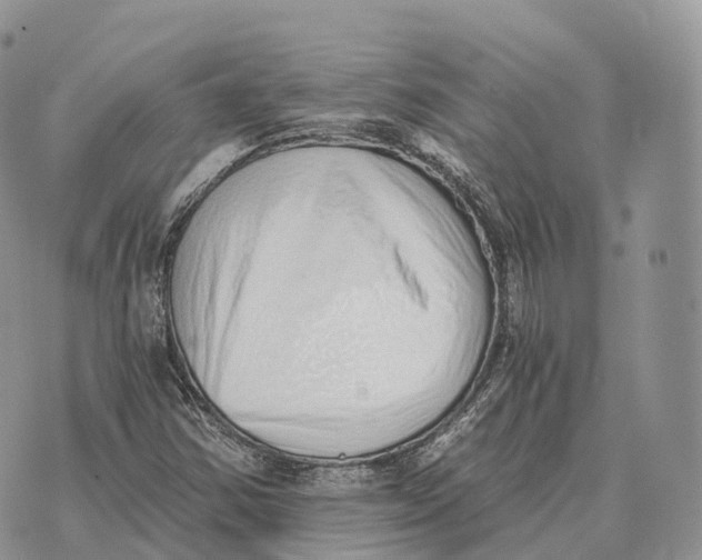 X0000072981354200608111731