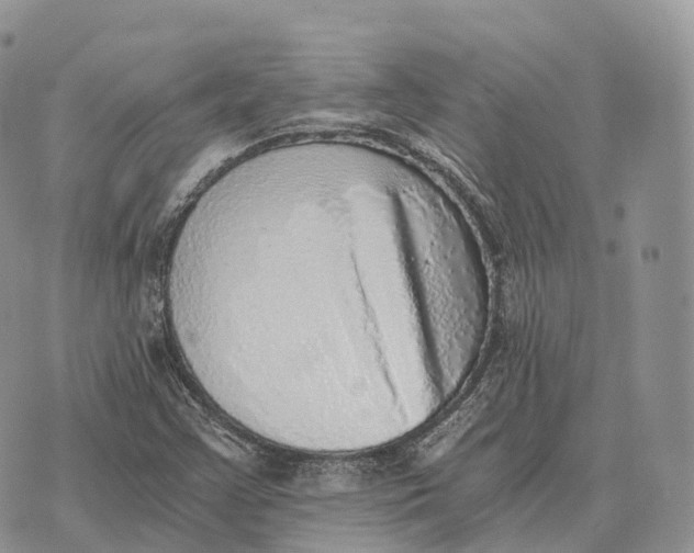 X0000072981355200608111731