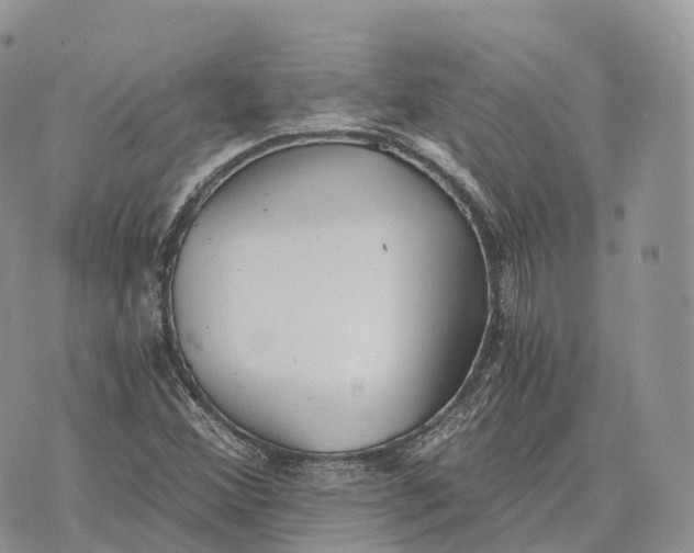 X0000072981356200608111731