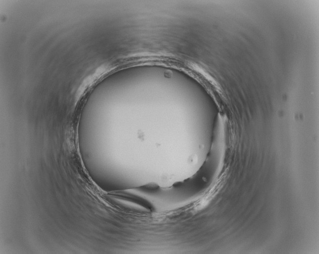 X0000072981357200608111731