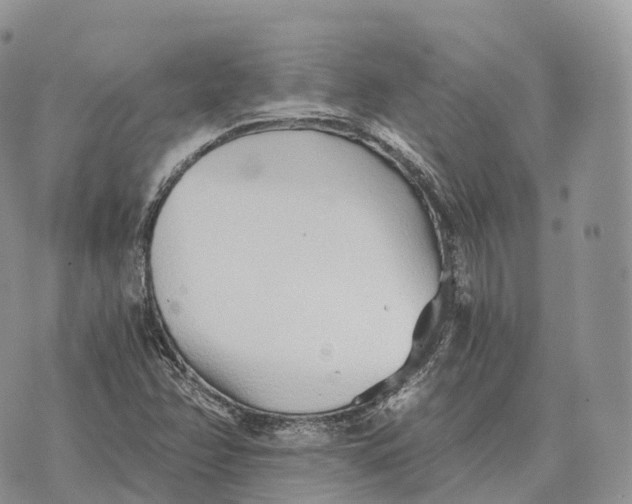 X0000072981358200608111731