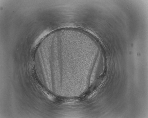 X0000072981359200608111731