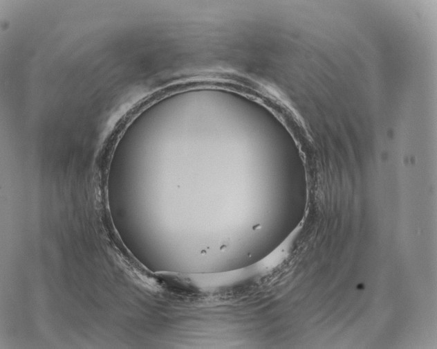 X0000072981360200608111731