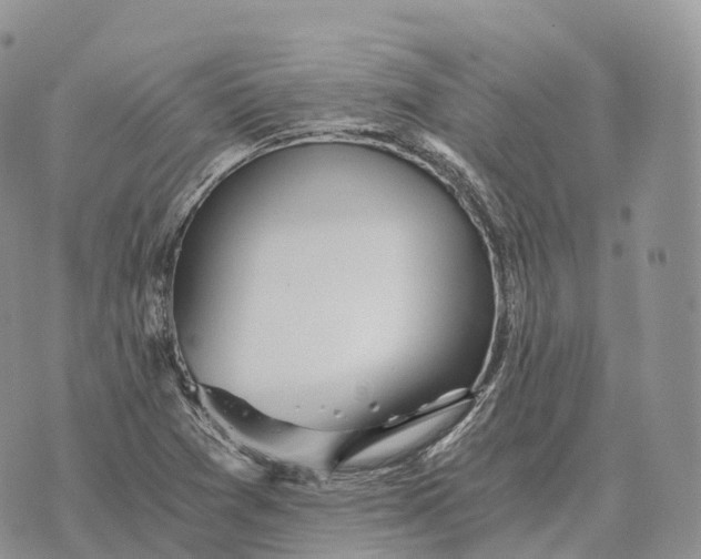 X0000072981361200608111731