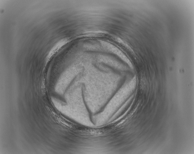 X0000072981362200608111731