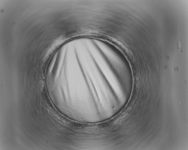 X0000072981363200608111731