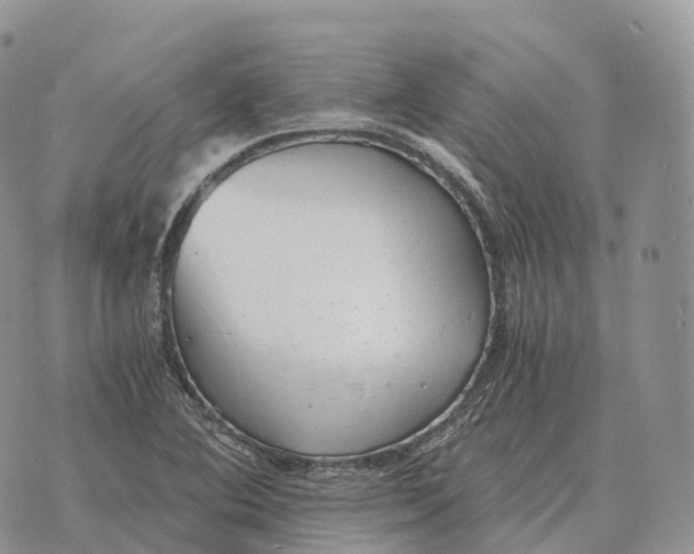 X0000072981364200608111731