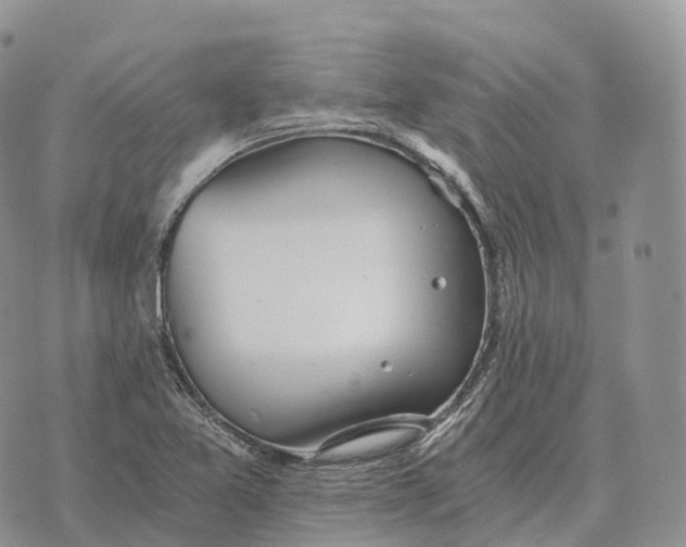 X0000072981365200608111731